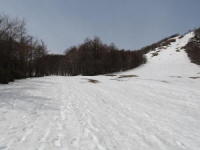 20140420_sYR001